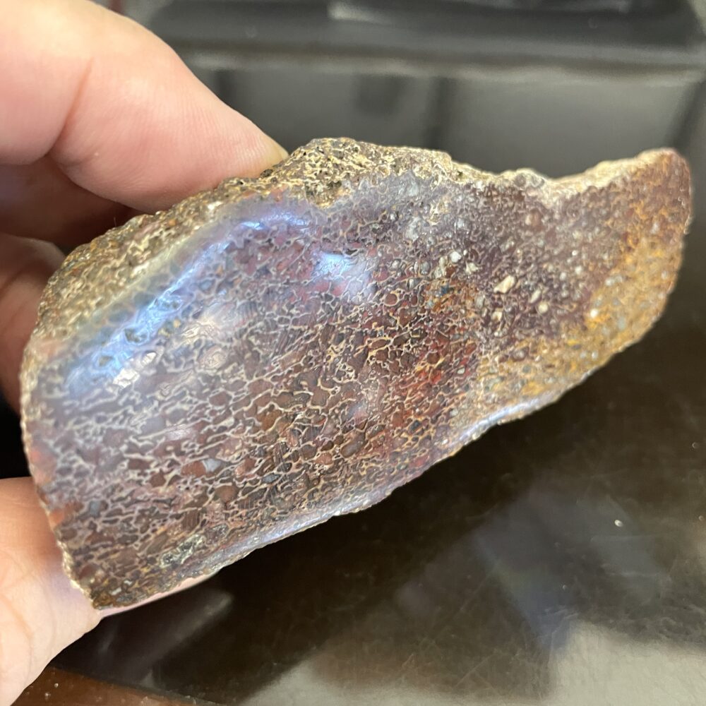 A hand holds the Dinosaur Bone Red, Brown and White Slice Slab 108g, showcasing its textured brown exterior with red and white hints.