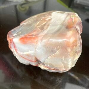 Arizona Rainbow Petrified Wood – Natural Specimen