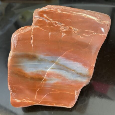 The Arizona Rainbow Petrified Wood - Beautiful Polished Specimen 843g or 1 lb 13 oz – features striking red hues with white and brown bands, displayed on a dark background for a stunning visual effect.
