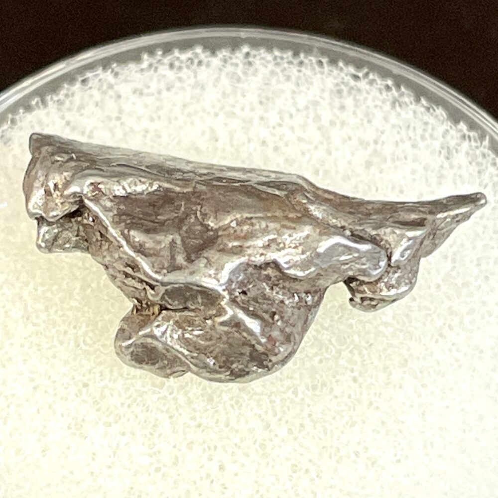 The Campo del Cielo Iron Meteorite 2.43g Specimen, a metallic silver nugget with a rough, irregular shape, is displayed in a circular container on a white textured surface.