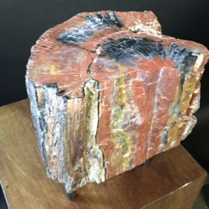 A large piece of petrified wood with visible cracks, showcasing layers of red, yellow, blue, and gray mineralization, displayed on a wooden stand.