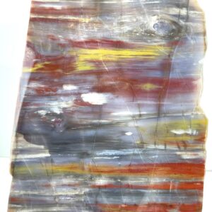 A polished slab of arizona rainbow petrified wood displaying horizontal bands of red, yellow, gray, and white colors, as well as a knot