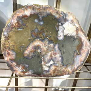 A 4.5-inch Kentucky Agate Cut Geode Nodule featuring yellow, gray, and white colors, displayed upright on a metal rack.