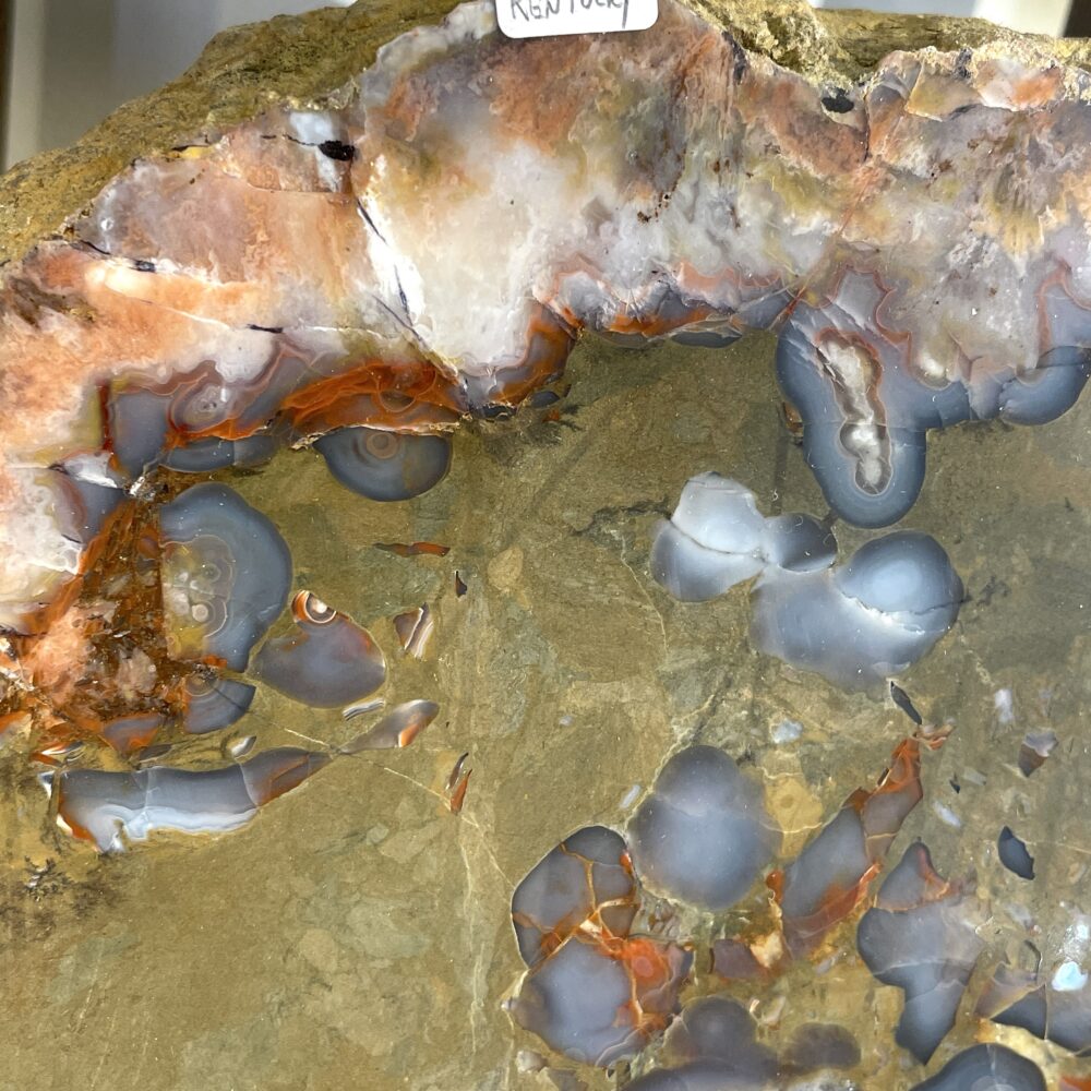 Close-up of a polished Kentucky Agate Cut Geode Nodule, 4.5 in, featuring bands of yellow, gray, and white with rounded blue-gray formations, rough outer edge, and Kentucky label at the top.