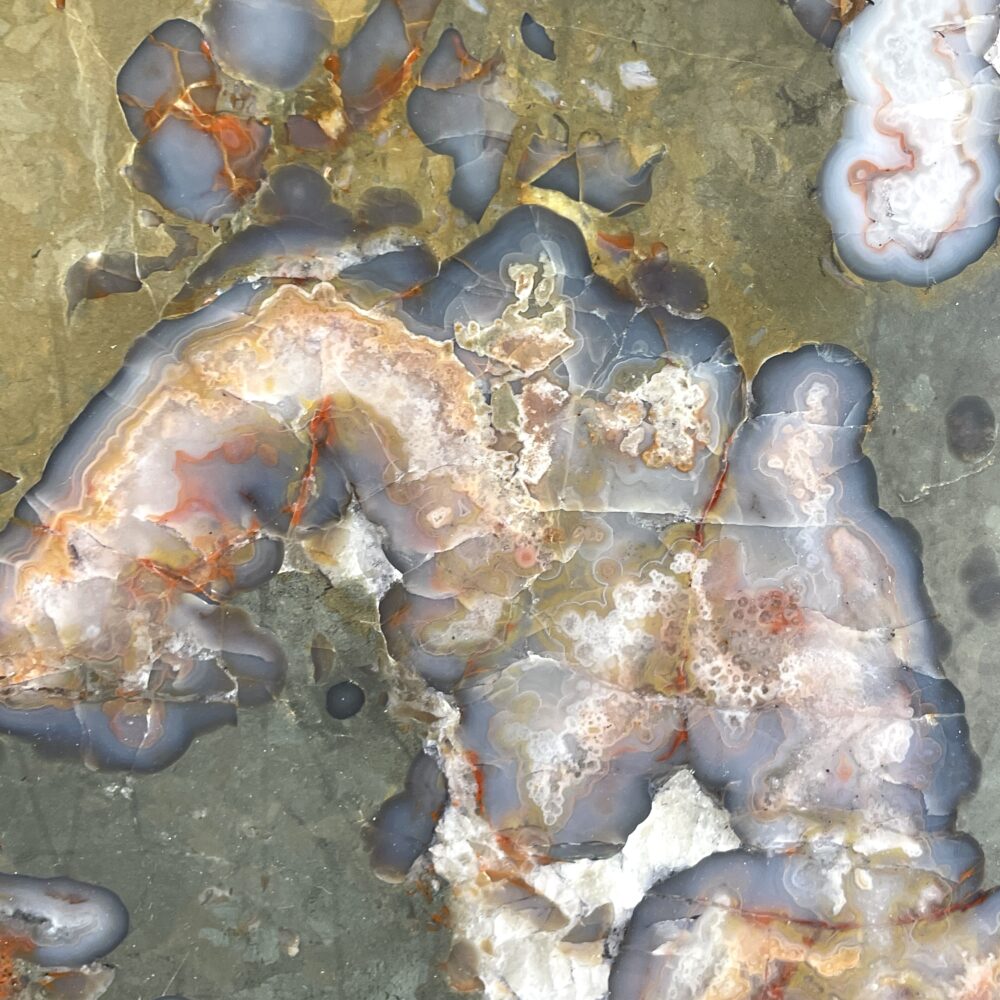 Close-up of a polished Kentucky Agate Cut Geode Nodule (4.5 in) featuring intricate yellow, gray, and white patterns—Copy.