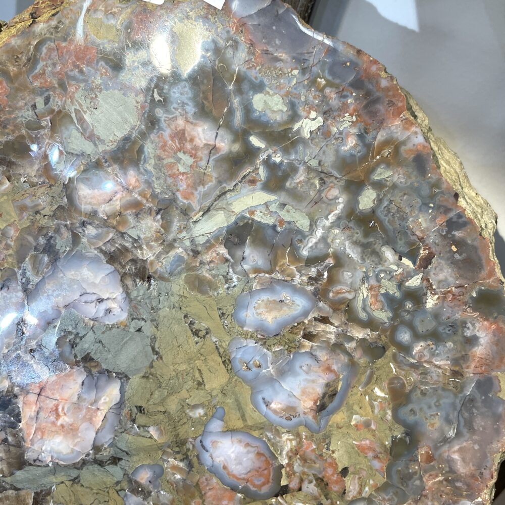 The Huge Giant Kentucky Agate Geode Nodule Polished (17 lbs) features a polished cross-section highlighting multicolored brown, gray, gold, and orange mineral patterns with a reflective surface.