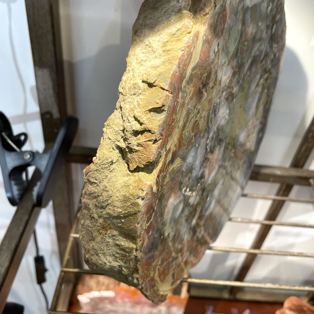A close-up side view of a Huge Giant Kentucky Agate Geode Nodule Polished (17 lbs/7700g) shows its round, thin slab with a rough yellow edge, displayed upright on a metal rack.