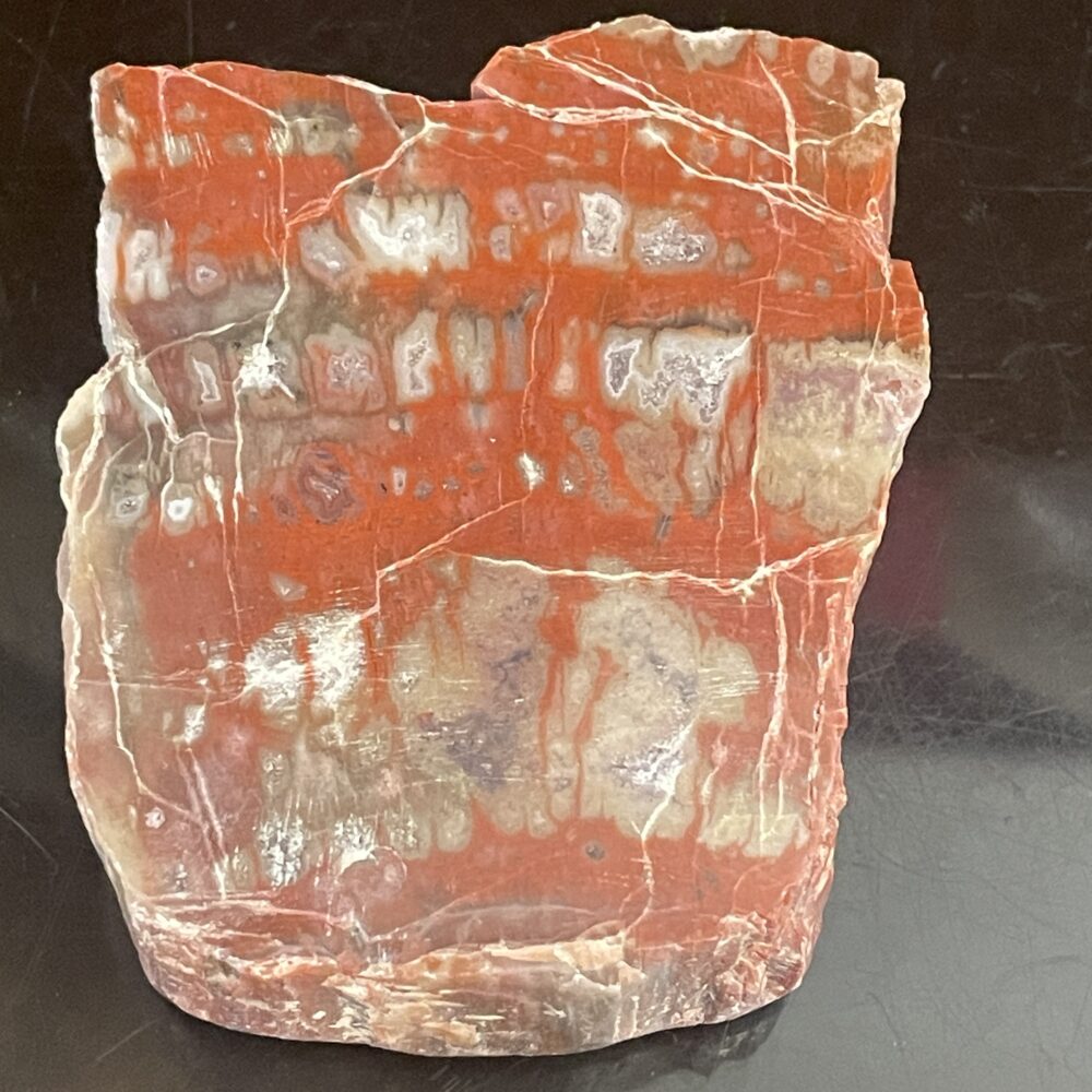 Arizona Rainbow Petrified Wood - Beautiful Polished  Specimen 201 g or 7.1 oz – AA53