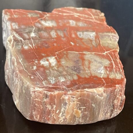 Arizona Rainbow Petrified Wood - Beautiful Polished Specimen 201 g (7.1 oz), featuring red, brown, and cream bands with surface cracks.