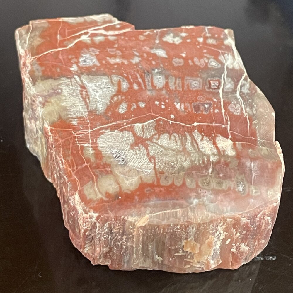 Arizona Rainbow Petrified Wood - Beautiful Polished  Specimen 201 g or 7.1 oz – AA53