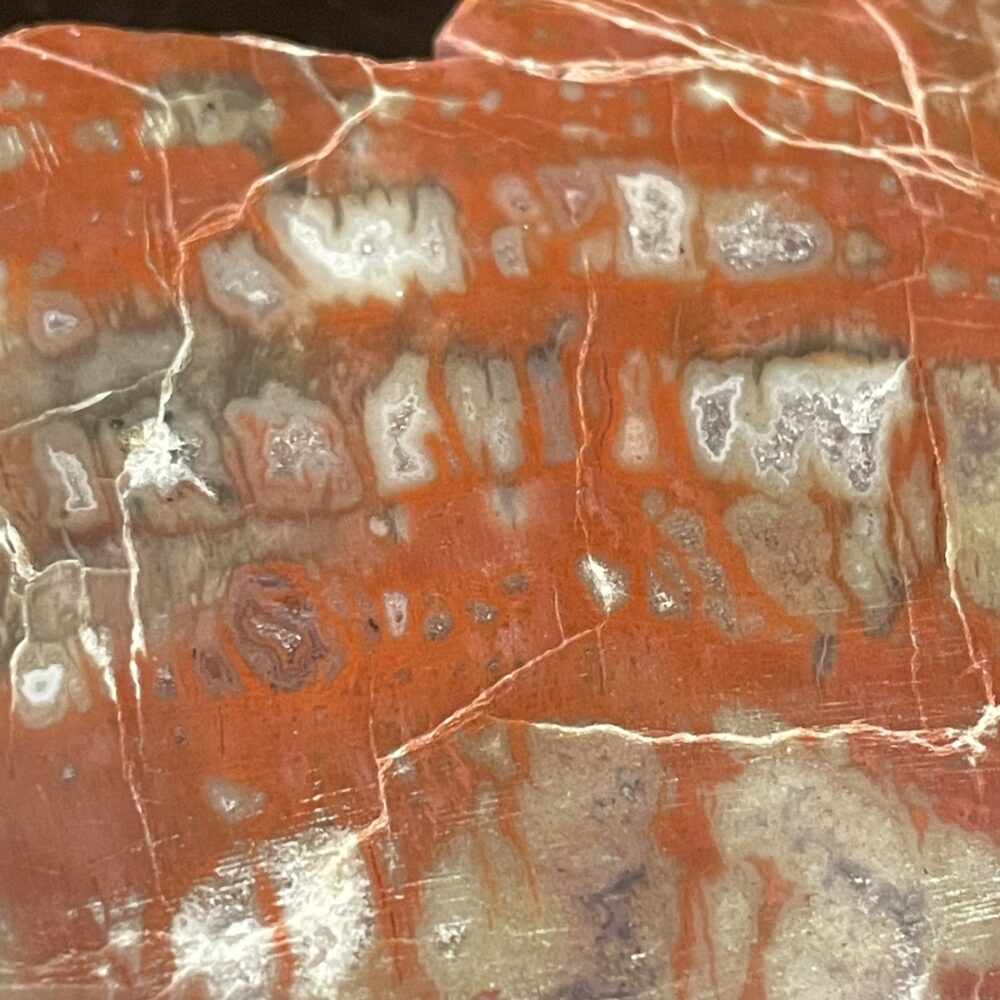 Close-up of Arizona Rainbow Petrified Wood - Beautiful Polished Specimen 201 g (7.1 oz), featuring vibrant red, white, and gray patterns with visible cracks and intricate natural details.