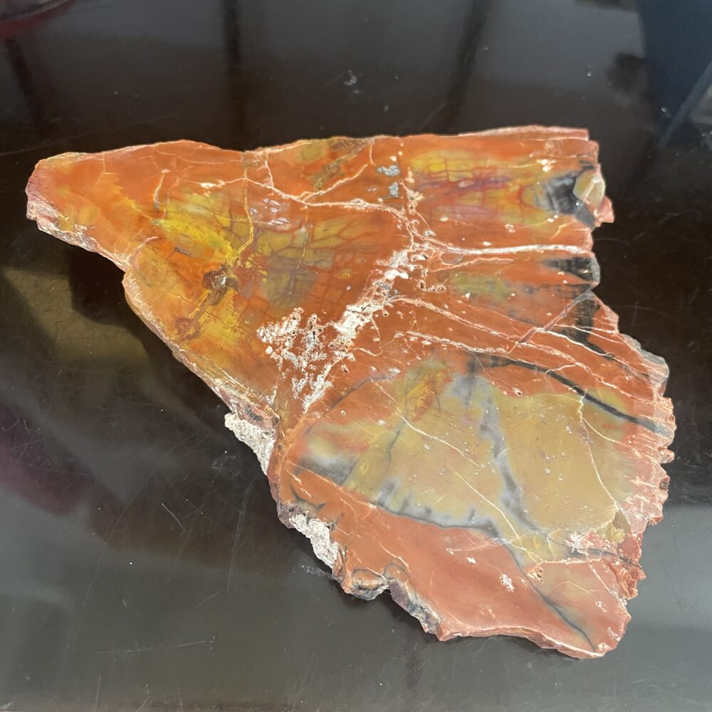 The Arizona Rainbow Petrified Wood - Beautiful Polished Specimen 201 g (7.1 oz) displays vivid red, orange, yellow, and black mineral patterns and rests on a reflective black surface.