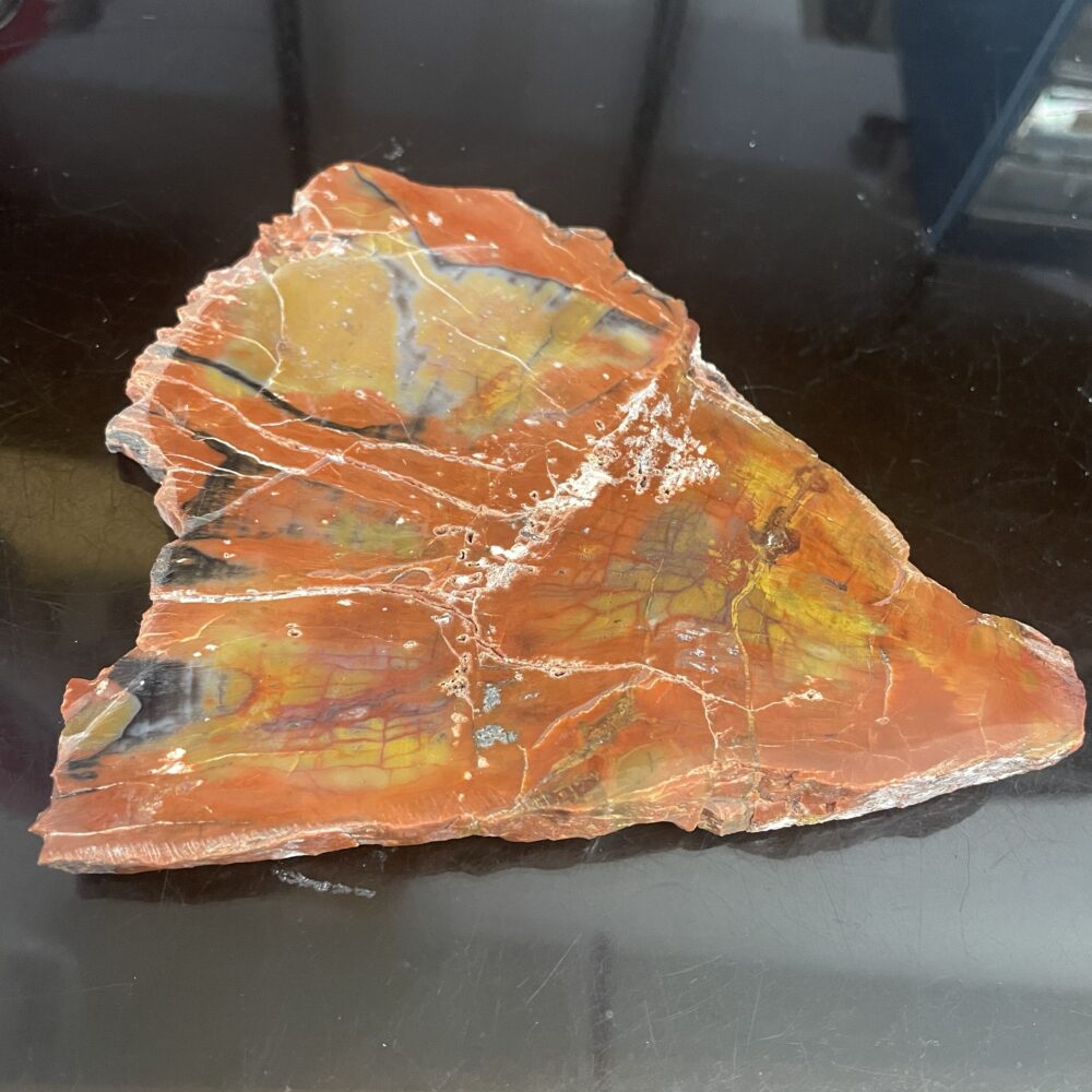 Arizona Rainbow Petrified Wood - Beautiful Polished  Specimen 275 g or 9.7 oz – AA54