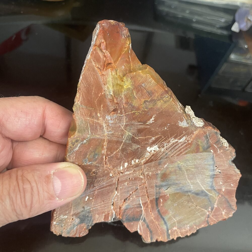 A hand holds the Arizona Rainbow Petrified Wood - Beautiful Polished Specimen, highlighting its vibrant colors, polished surface, and striking natural striations.