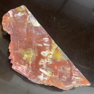 Arizona Rainbow Petrified Wood - Beautiful Polished Specimen with striking red, yellow, and white streaks, displayed on a dark surface.