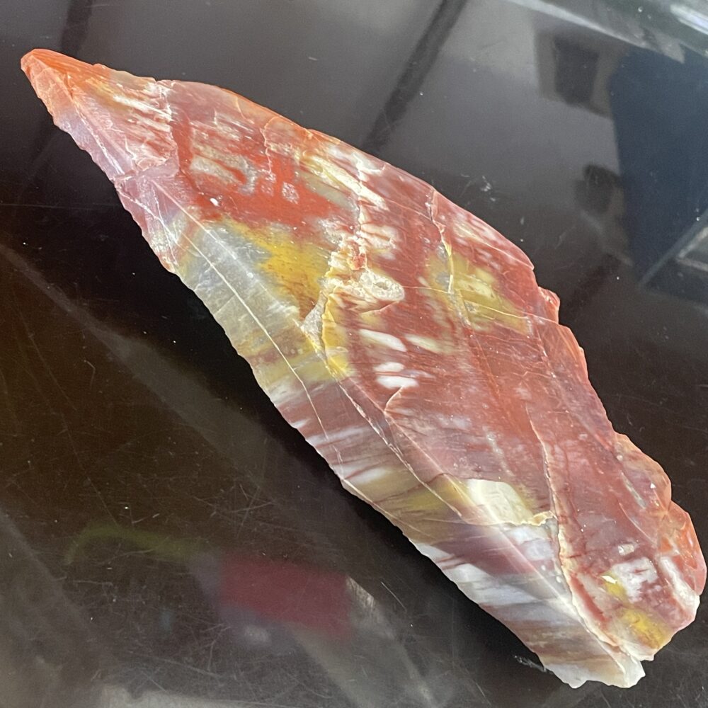 The Arizona Rainbow Petrified Wood - Beautiful Polished Specimen with vibrant red, yellow, and white streaks is displayed on a reflective black surface.