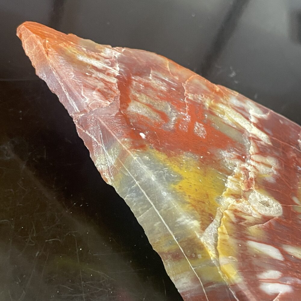 A close-up of the Arizona Rainbow Petrified Wood - Beautiful Polished Specimen 331 g displays sharp red, yellow, and white mineral patterns contrasted against a black background.