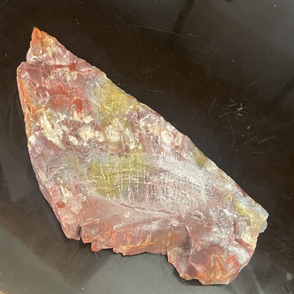 A beautiful, polished 331 g (11.7 oz) specimen of Arizona Rainbow Petrified Wood with striking red, yellow, and white streaks is displayed on a dark surface.