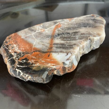 A beautiful 331 g (11.7 oz) polished Arizona Rainbow Petrified Wood specimen displays orange, black, white, and gray bands as it rests on a dark reflective surface.