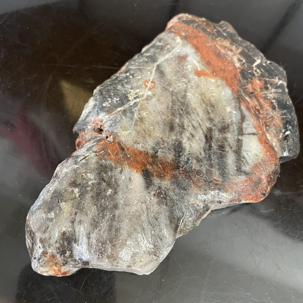 A beautiful, polished Arizona Rainbow Petrified Wood specimen showcases a blend of gray, black, and reddish-brown colors displayed on a dark surface.