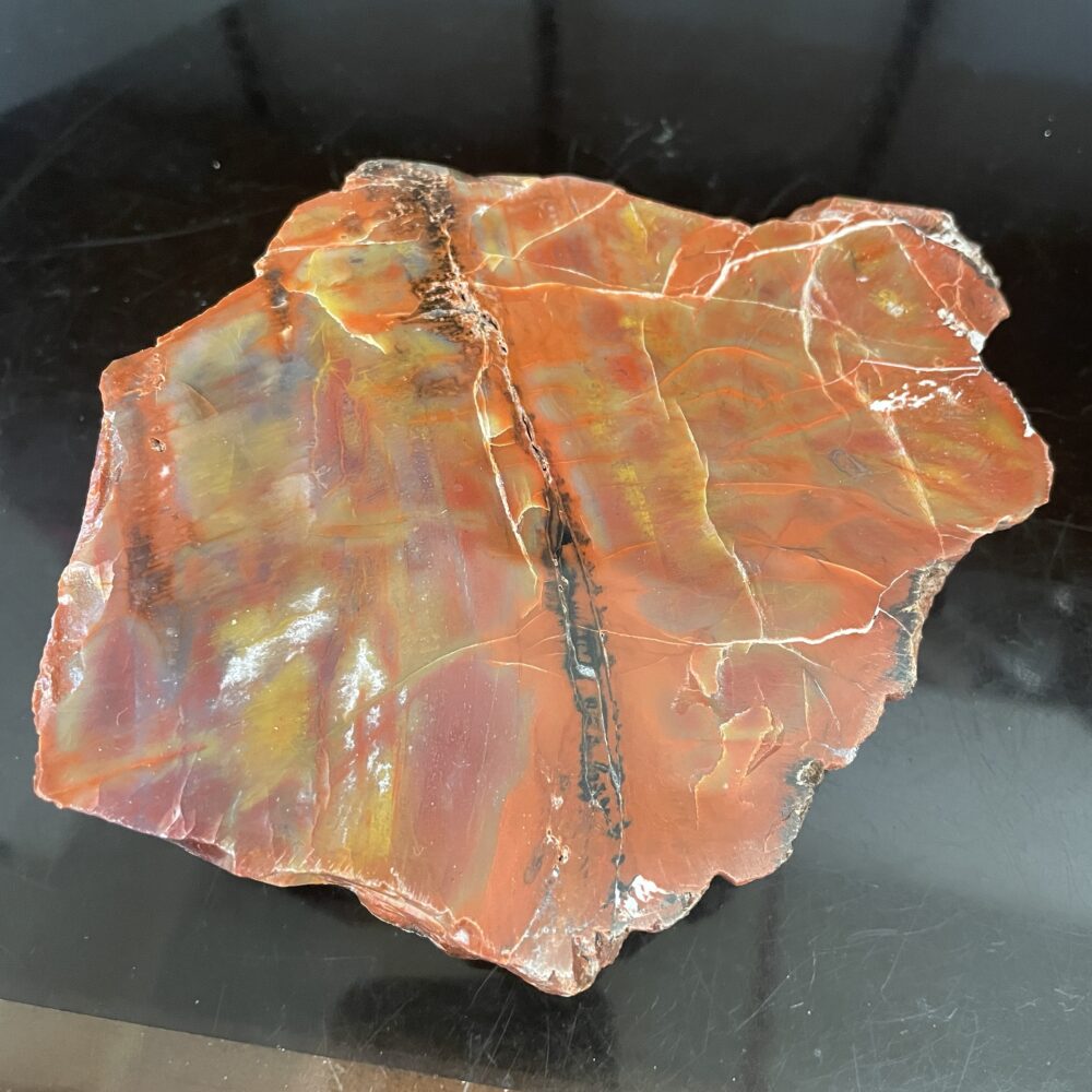 Arizona Rainbow Petrified Wood - Beautiful Polished Specimen 331 g (11.7 oz) – Copy, featuring reddish-brown hues with yellow, orange, and black streaks, displayed on a glossy black surface.
