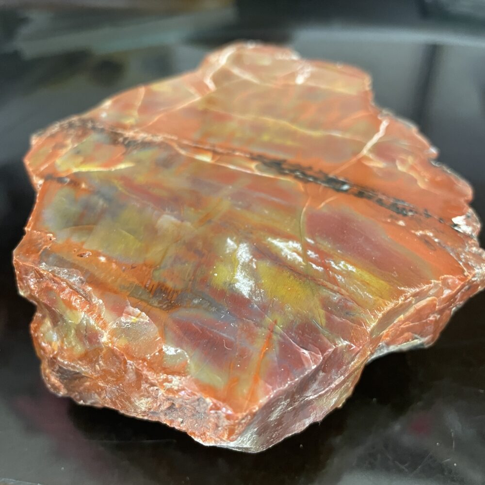 A close-up of the Arizona Rainbow Petrified Wood - Beautiful Polished Specimen 331 g (11.7 oz) – Copy, featuring striking red, orange, and yellow hues with visible grain and natural cracks.