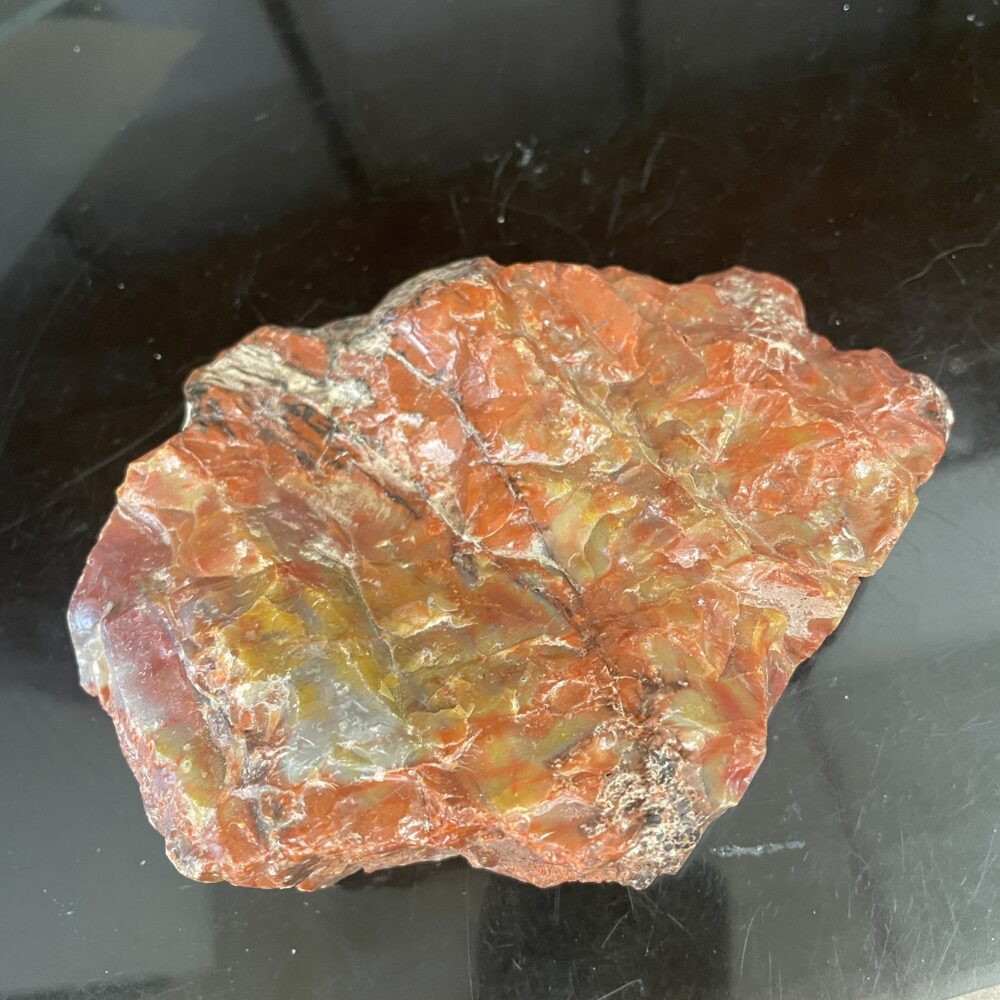 A beautiful polished specimen of Arizona Rainbow Petrified Wood (331 g / 11.7 oz) is displayed on a glossy black background, highlighting its striking reddish-brown hues and unique surface patterns.
