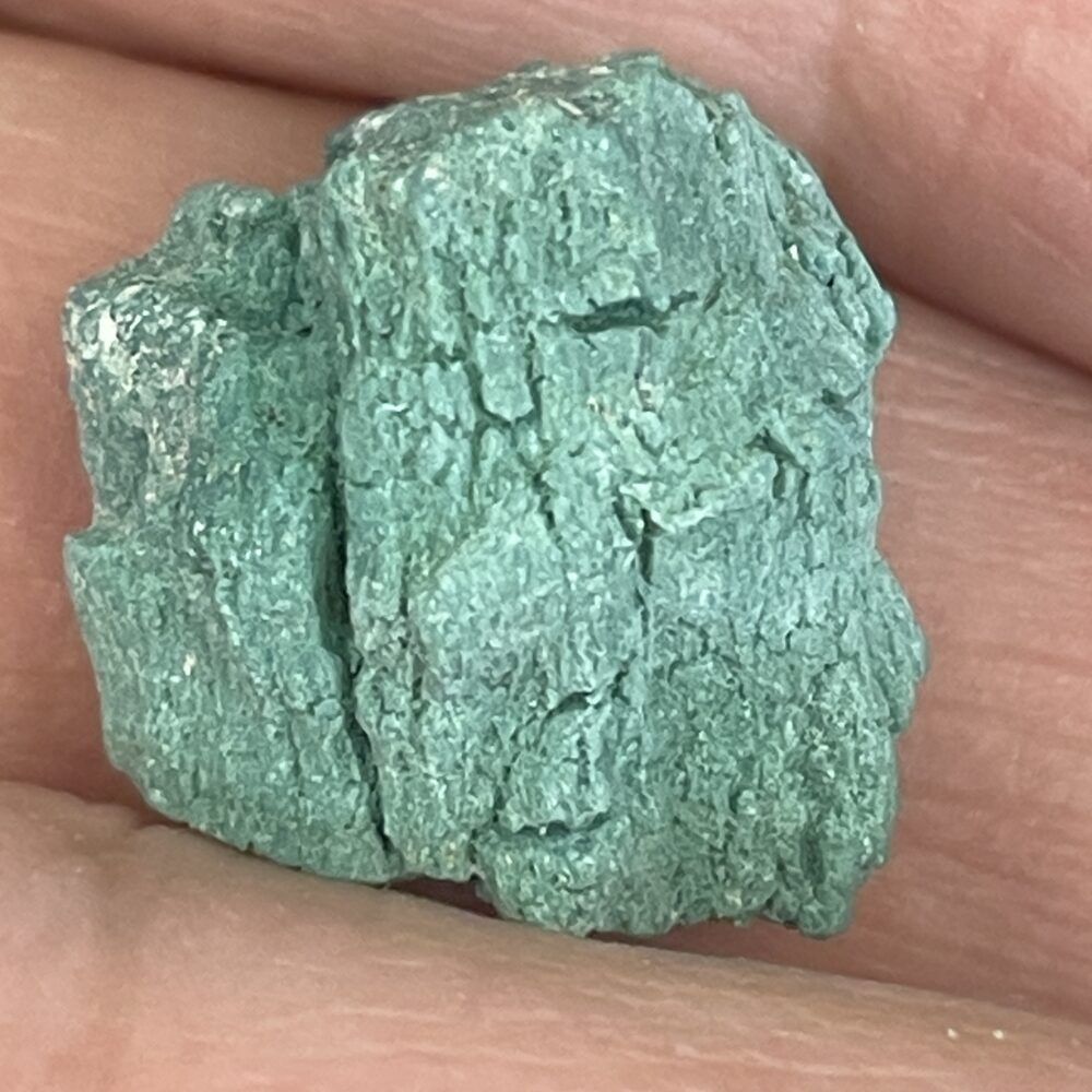 A close-up of a hand holding Rare Green Chromium Petrified Wood, showcasing its rough, textured surface and vibrant green coloration.