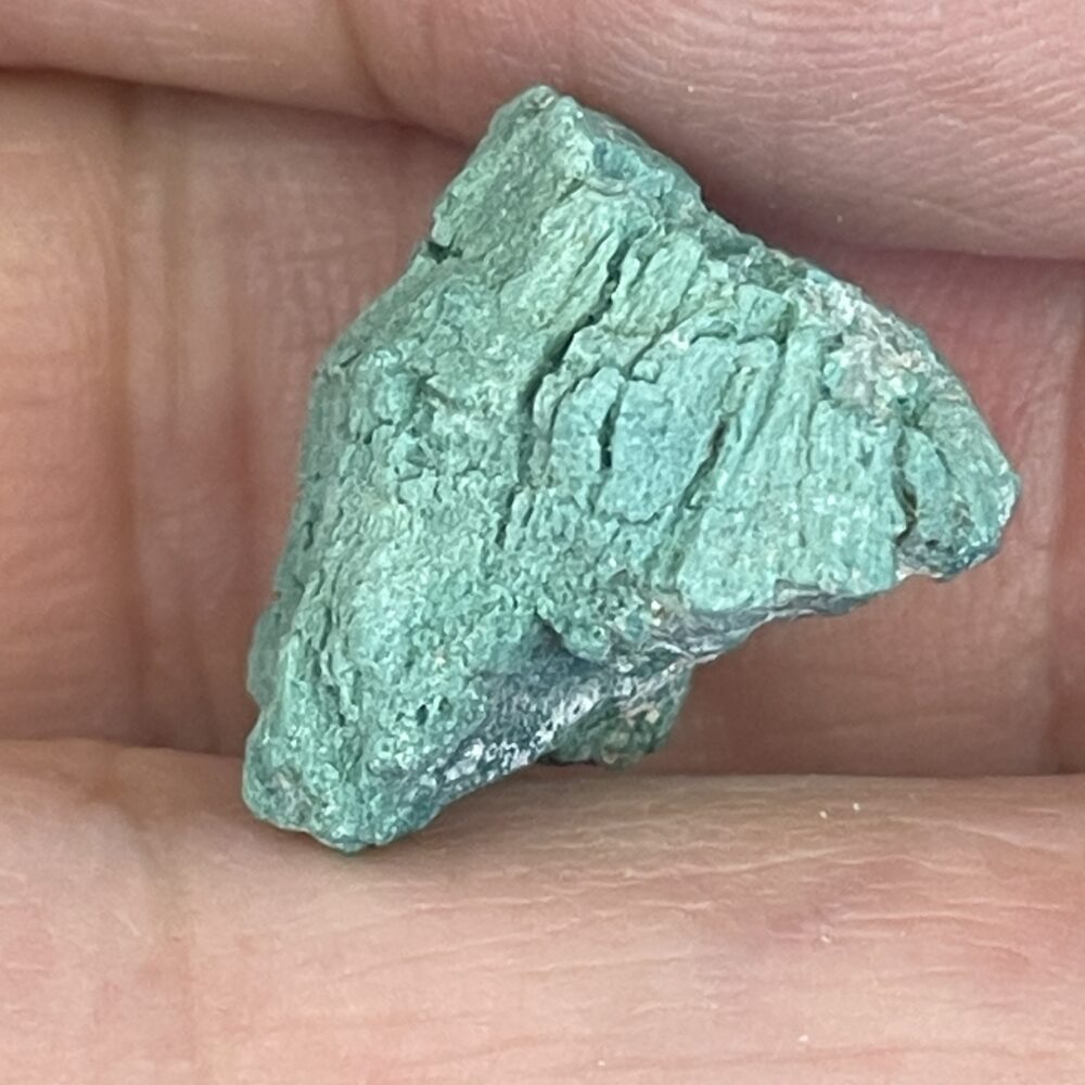 A close-up of a hand holding the Rare Green Chromium Petrified Wood 4.5g (22.70 cts), showcasing its textured, greenish-blue surface.