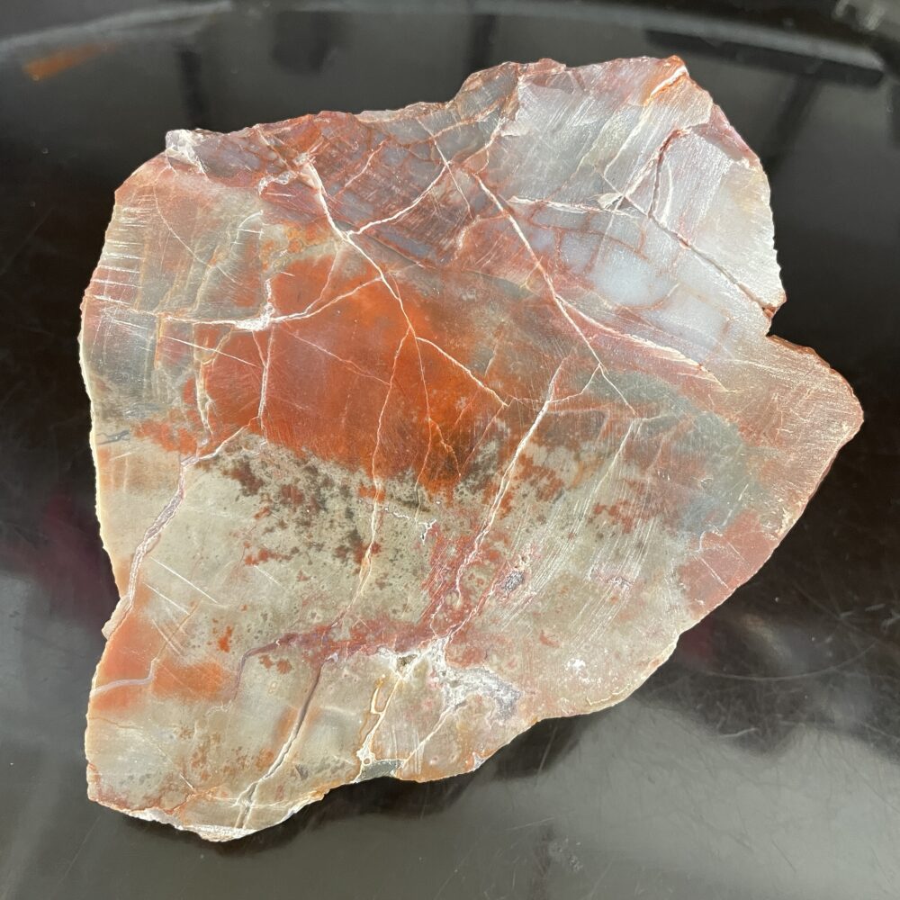 The Arizona Rainbow Petrified Wood - Beautiful Polished Specimen (482 g or 1 lb 1 oz) features striking red, orange, and gray hues with unique patterns and cracks, displayed elegantly on a black surface.