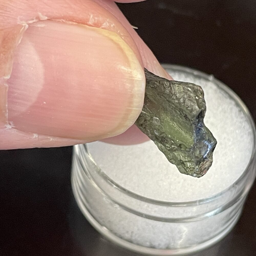 A close-up of a hand holding Moldavite from Chlum in CZ, .99 g (4.9 ct), above a clear round container with white padding.