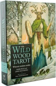 The Transparent Tarot Card Deck illustrated by Emily Carding - TAC2